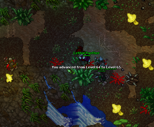 VmGcZ2V.png