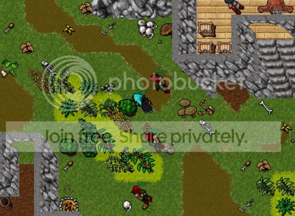 repigerabild16.jpg