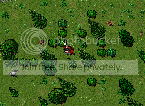 lor18.png