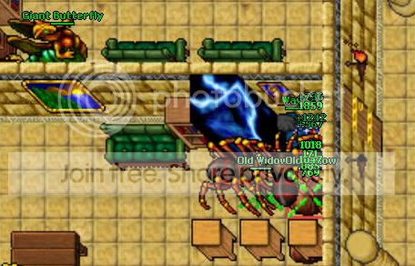 pic3.png