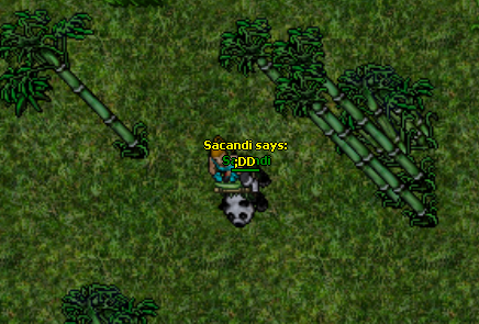 DidMWWr.png
