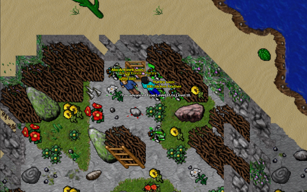 300.png