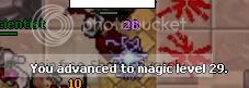 ml29.jpg