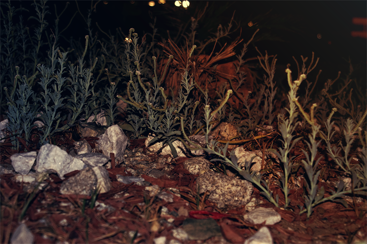 random_photo__18_by_darkressxx-d6bx0zg.png