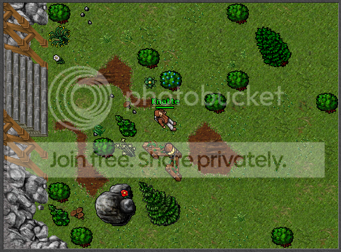 T7.png