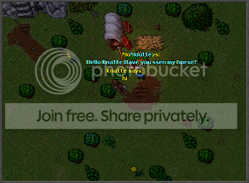 A6.png