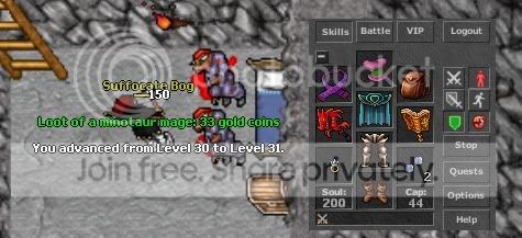 31ms.jpg
