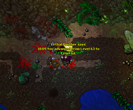 f5Kjw8z.png