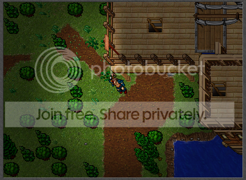 7.png