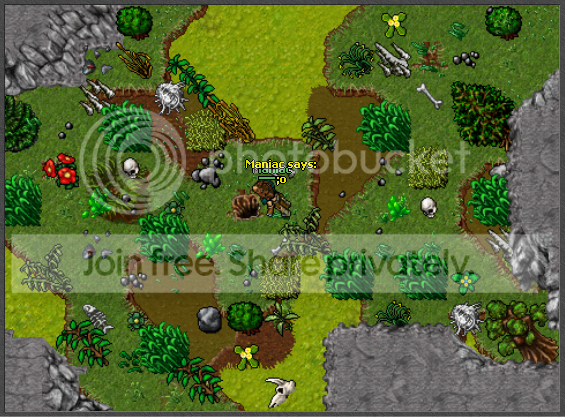 ingame.png