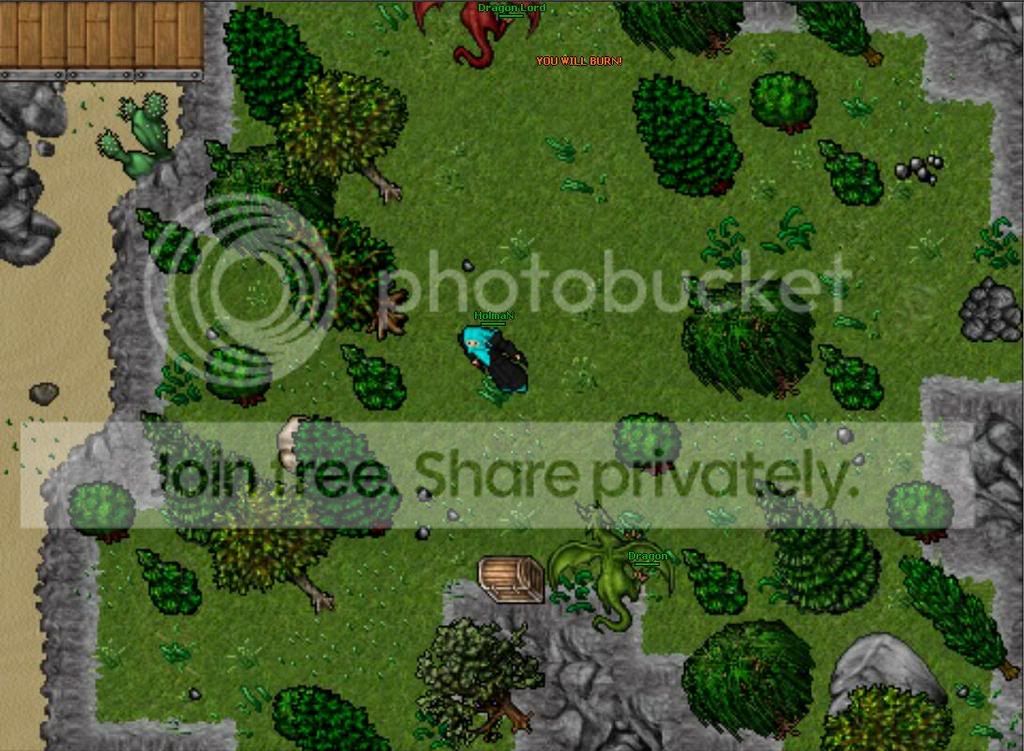 repigerabild19.jpg