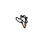 seagull.gif