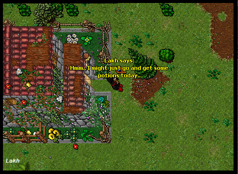 lw9z4.png