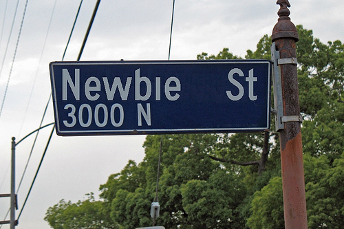 newb.jpg