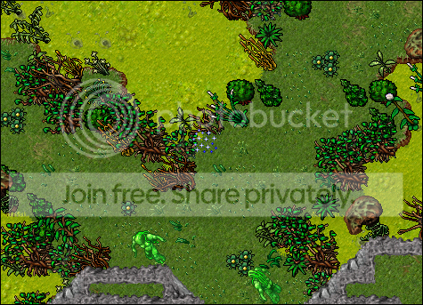 teaser1.png