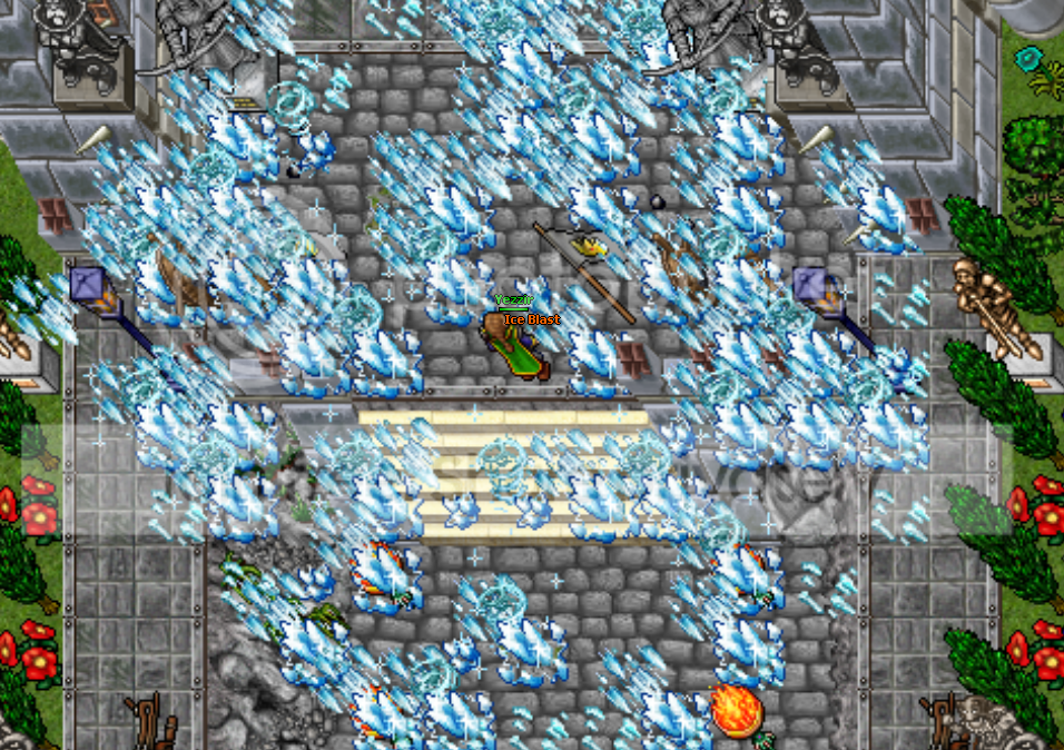 13.png