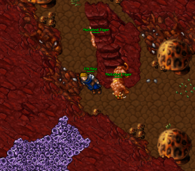 8ckkBMI.png
