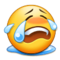loudly-crying-face_1f62d.png