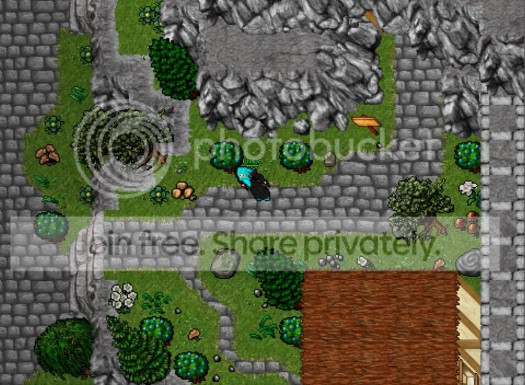 repigerabild9.jpg
