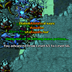 dfxs9.png