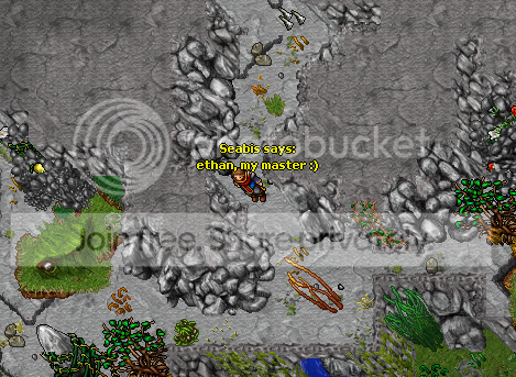 ss29.png