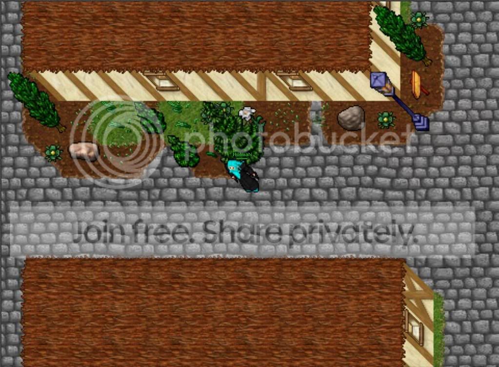 repigerabild8.jpg