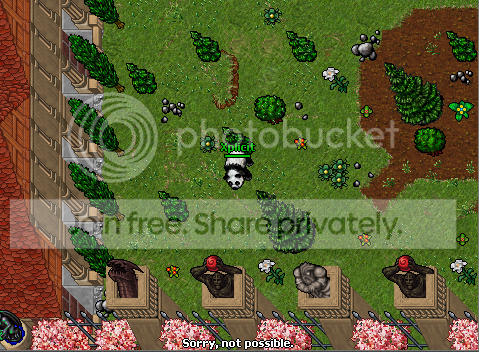 bg4.png