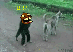 Fx6b4PC.gif