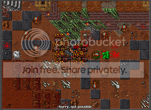 39.png