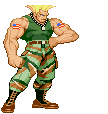 Guile-salute.gif