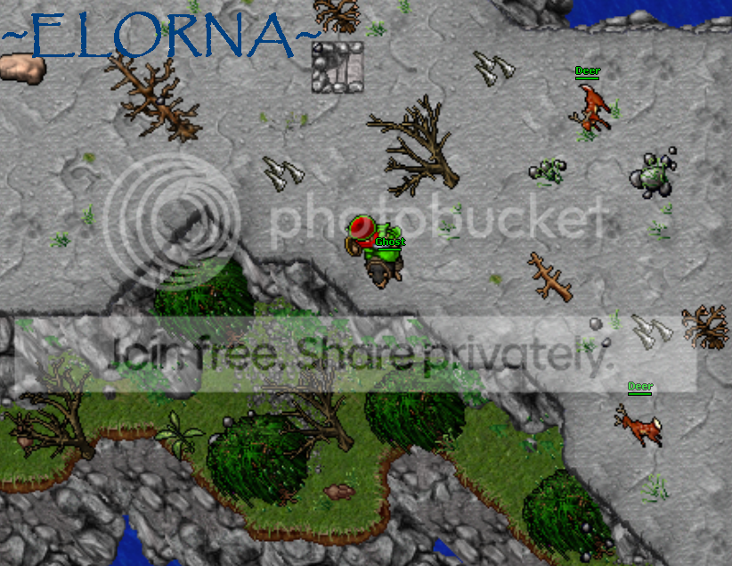 MOUNTAIN.png