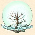 winter_update_tree.jpg