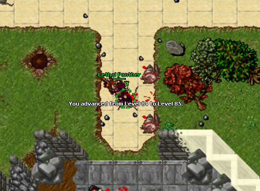ia0gfYd.png