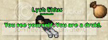 lysh.png