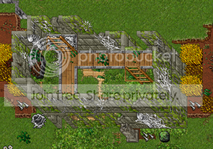 nueva.png