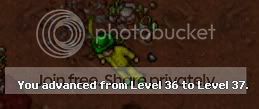 37mage.jpg