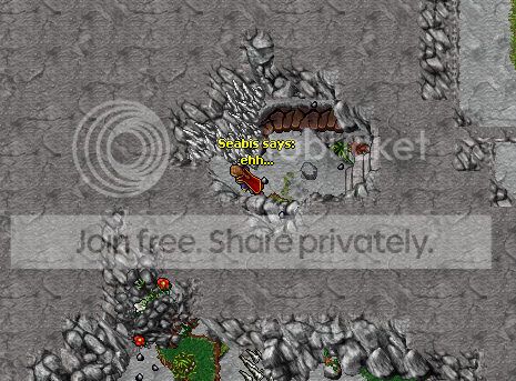 ss25.png