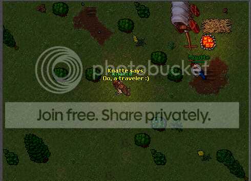 A5.png