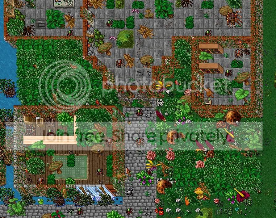 jungle1.jpg