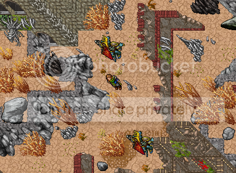 lizard.png
