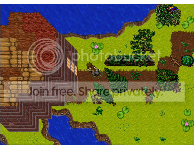 m12.png