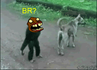 6a2.gif