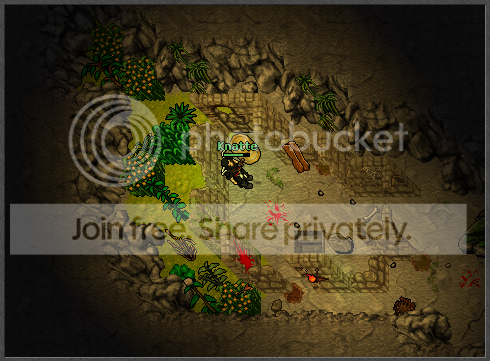 Ingame12.png
