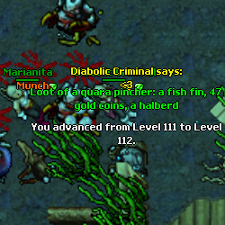 ap69t.png