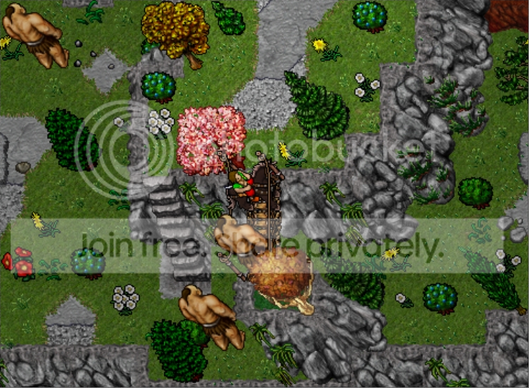 03.png