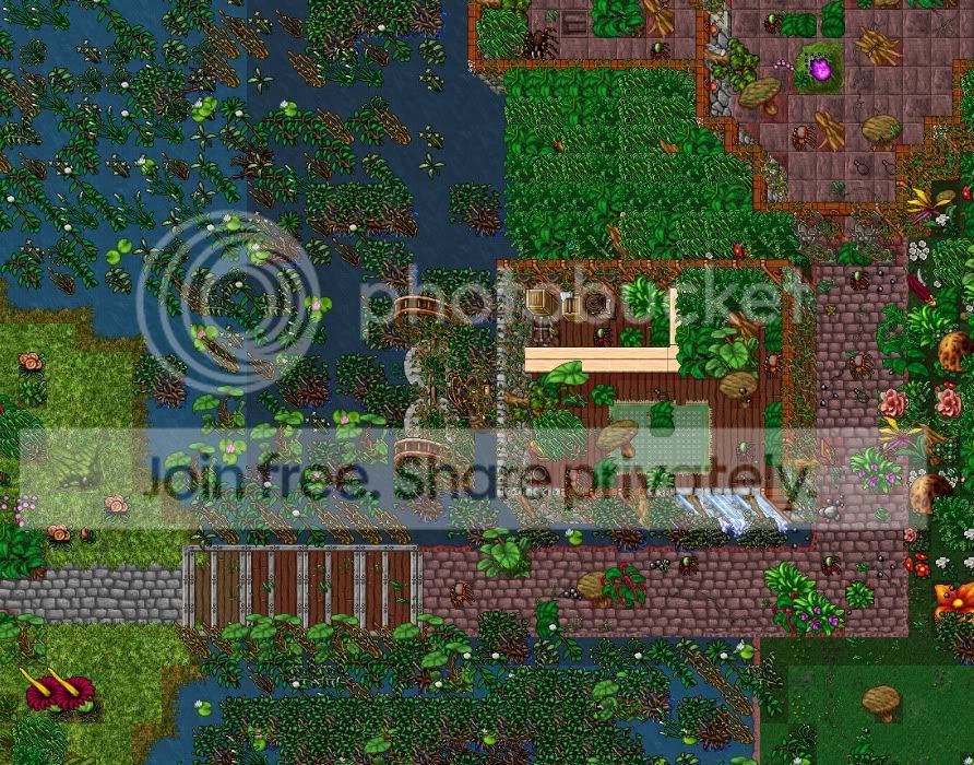 jungle3.jpg