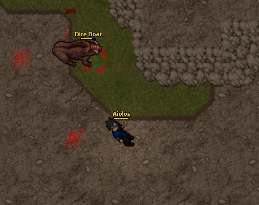direboar.png