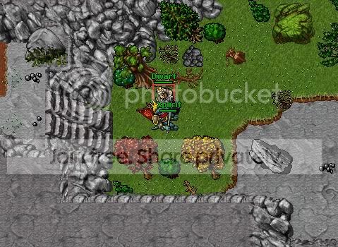 map4.jpg