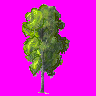 ib9Sx6K.png