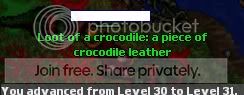 31mage.jpg